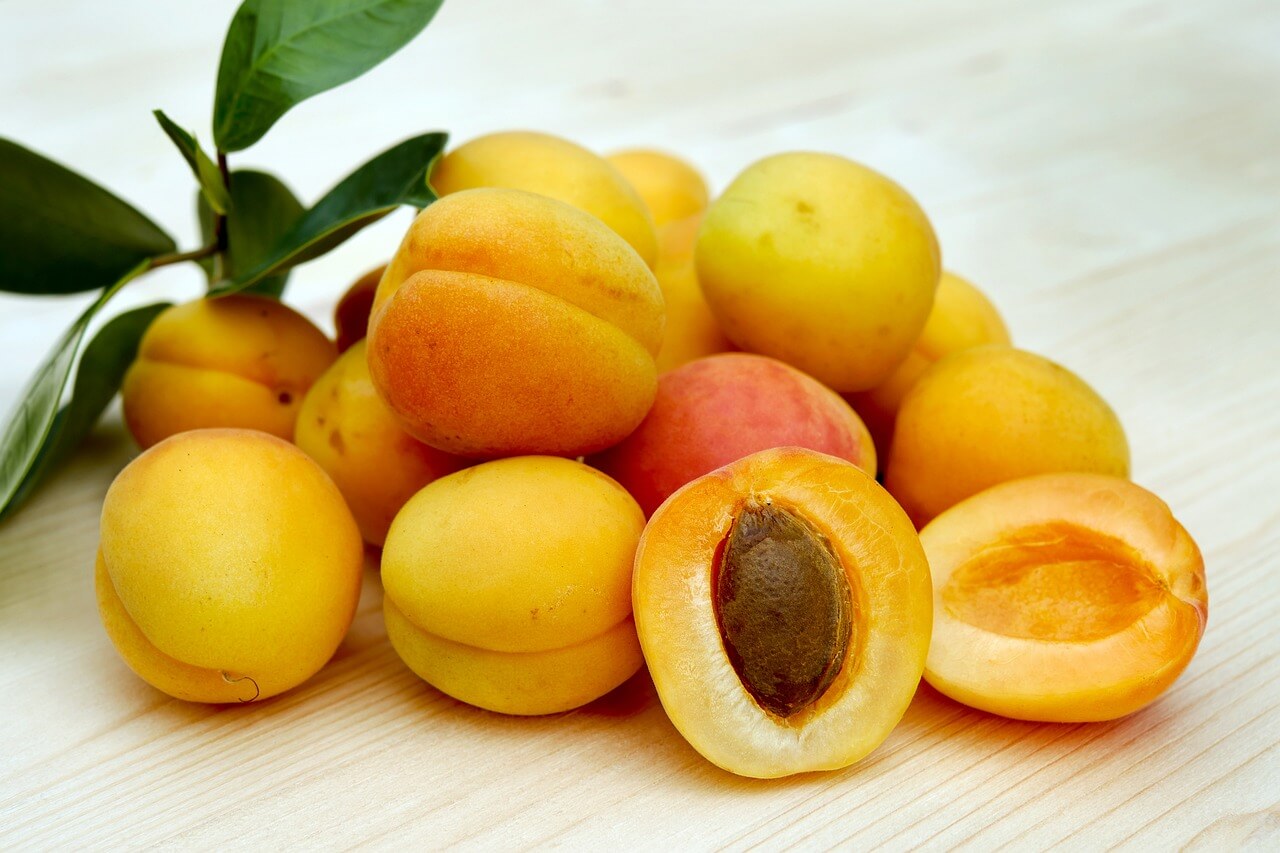 apricots in season