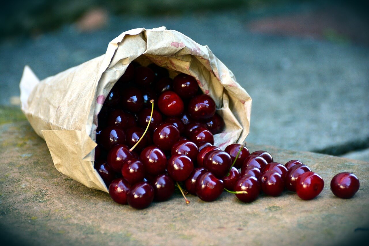 cherries in season