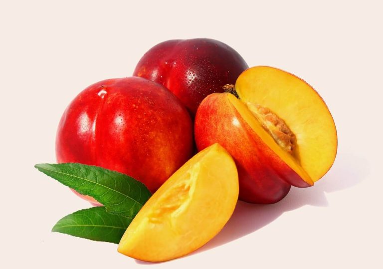 When Are Nectarines in Season?